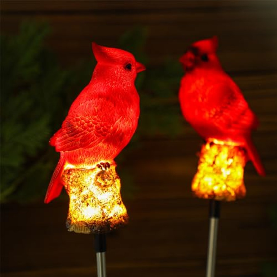 4 Pack Solar Cardinal Gifts St - Decor Lighting Pack のレビューと価格