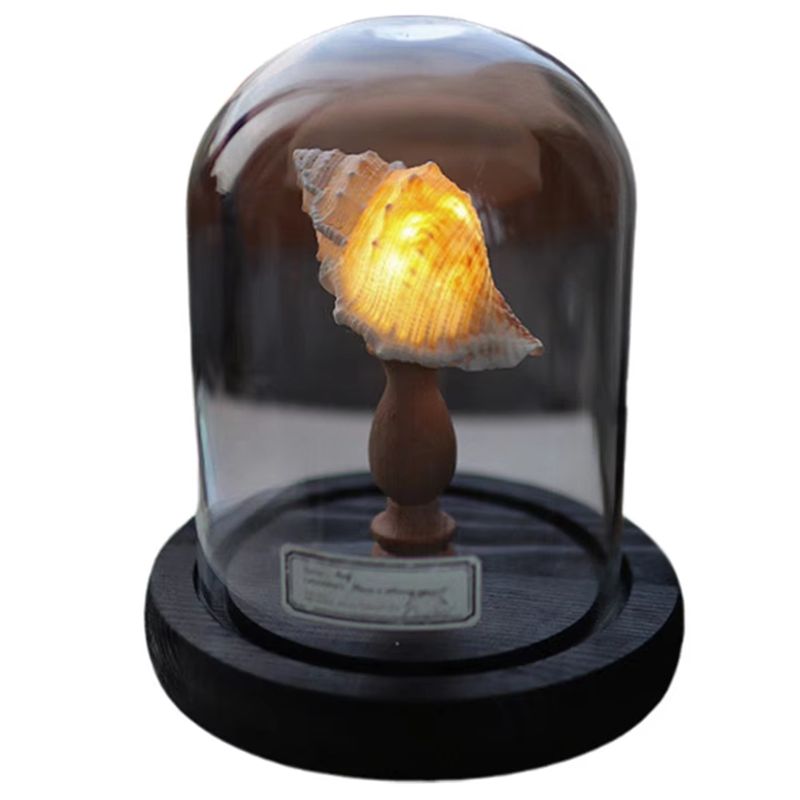 Exquisite-DIY Night Light Mini - Lighting Decoration Ideas For Home のレビューと価格