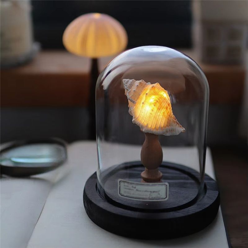 Exquisite-DIY Night Light Mini - Lighting Decoration Ideas For Home のレビューと価格