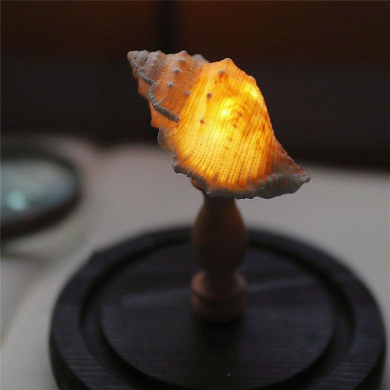 Exquisite-DIY Night Light Mini - Lighting Decoration Ideas For Home のレビューと価格