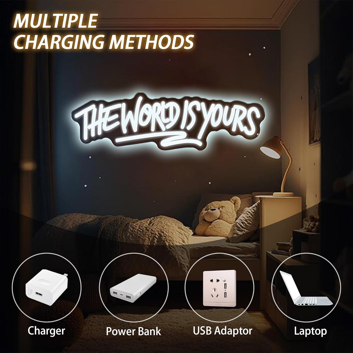 The World is Yours Neon Sign U - Lighting Decoration For Wedding のレビューと価格